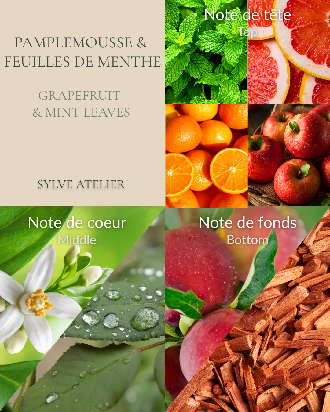 Diffuseur pour auto
