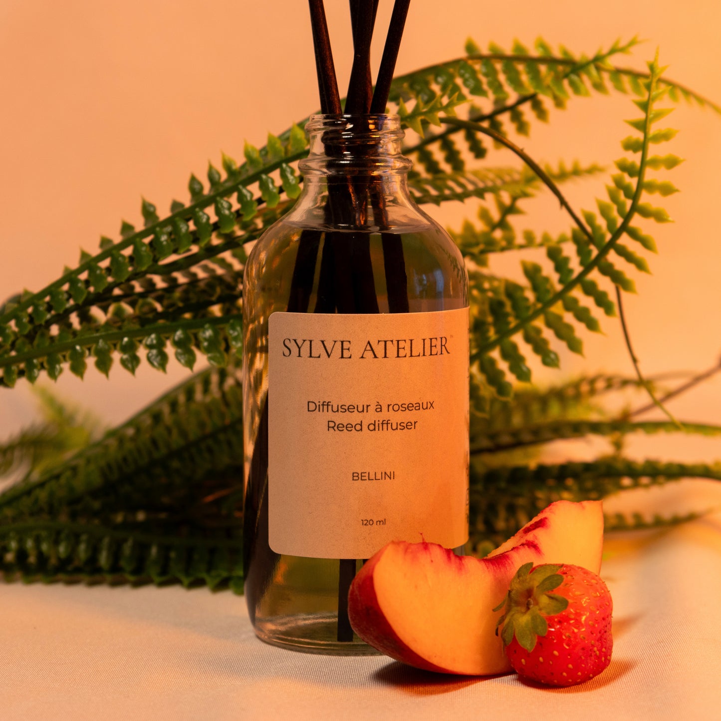 Diffuseur à roseaux