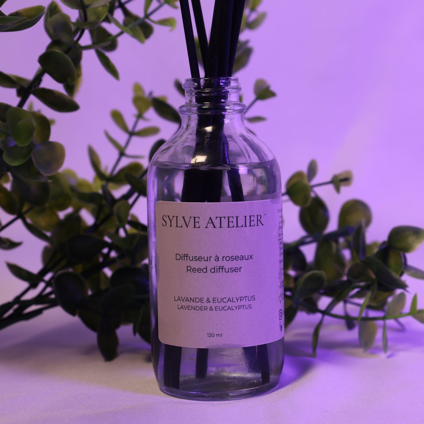 Diffuseur à roseaux