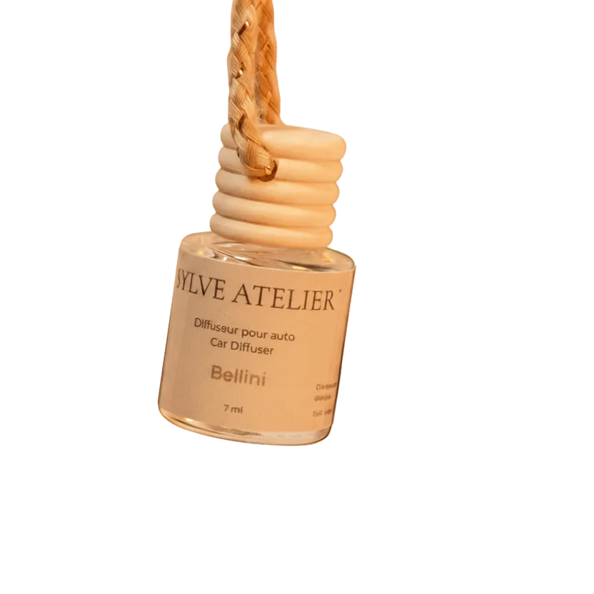 Diffuseur pour voiture - Été